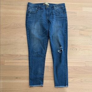 Democracy Dark Blue Distressed Ankle Jeans